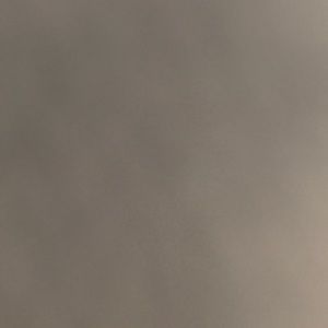 Meet your Posher, Britney